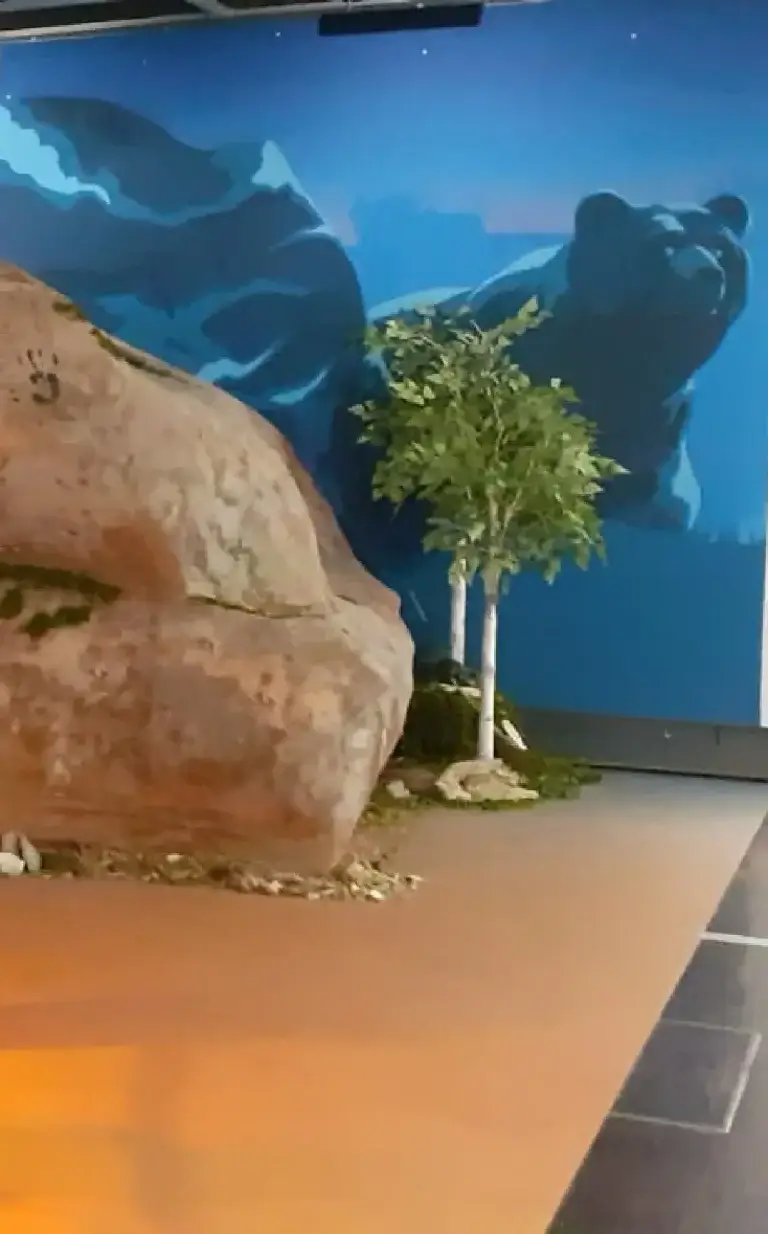 Photo de la partie avec l'ours de l'installation